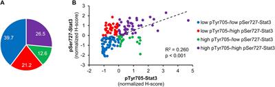 Stat3 Tyrosine 705 and Serine 727 Phosphorylation Associate With Clinicopathological Characteristics and Distinct Tumor Cell Phenotypes in Triple-Negative Breast Cancer